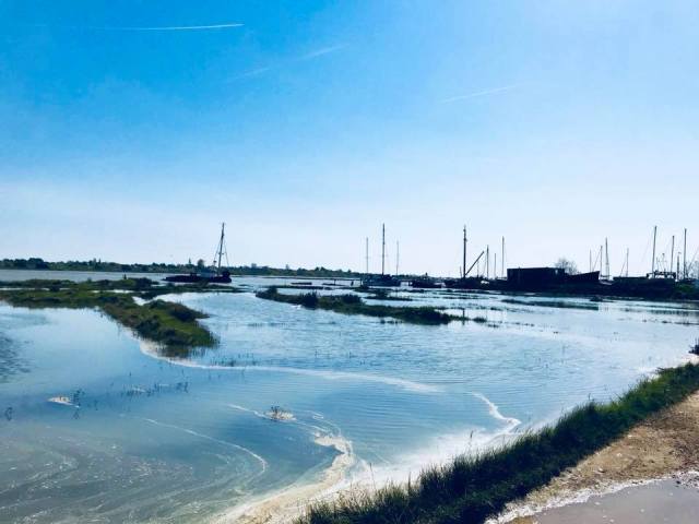 30703886_10214601849112595_9055455046262587392_n